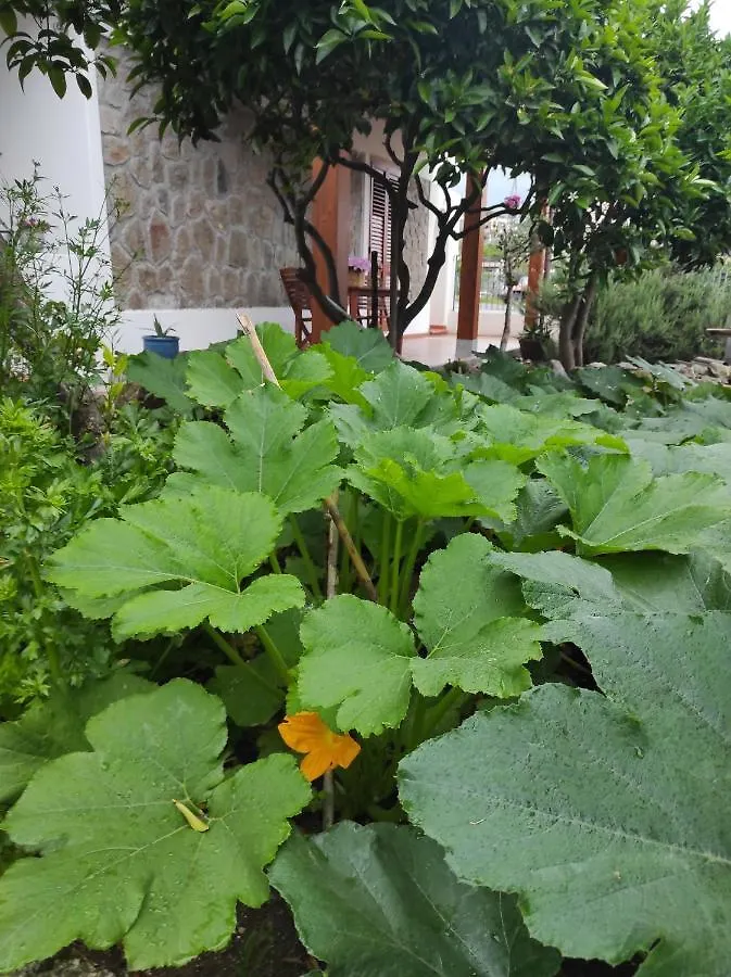 Apartamento Holiday Home Mennulita Lipari