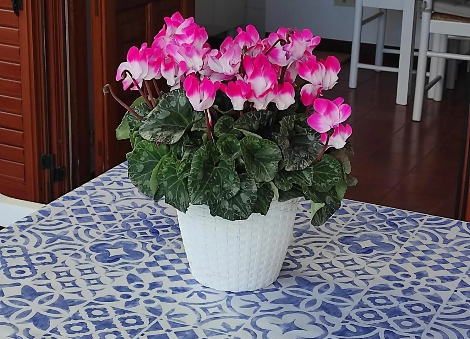 Apartamento Holiday Home Mennulita Lipari