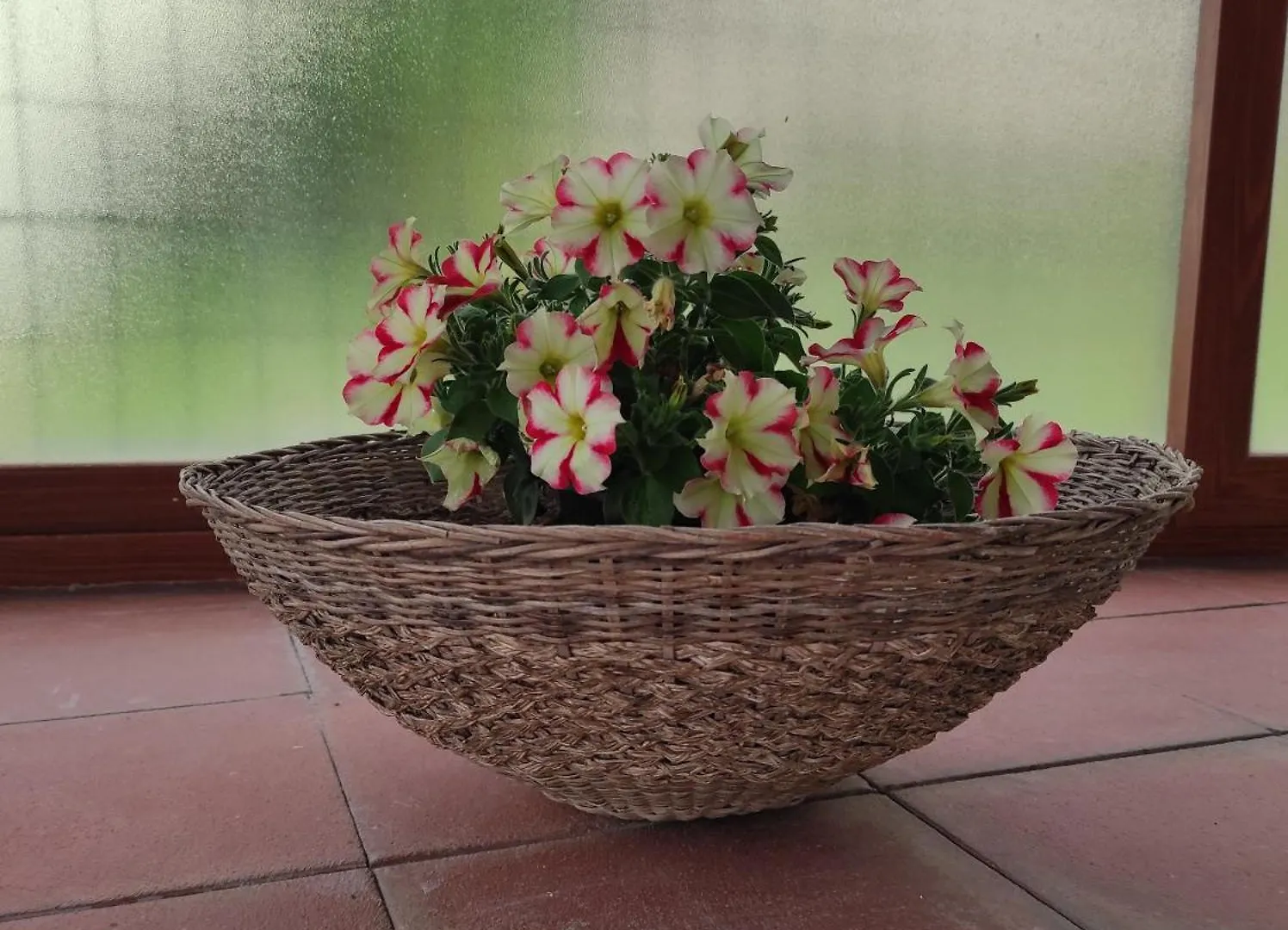 Apartamento Holiday Home Mennulita Lipari